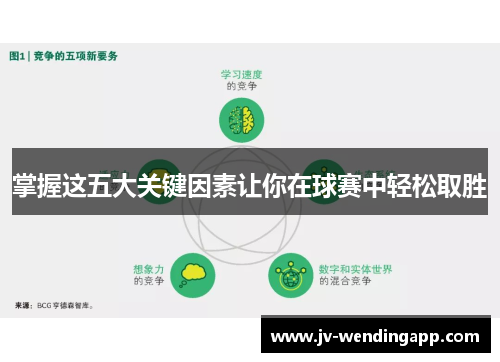掌握这五大关键因素让你在球赛中轻松取胜