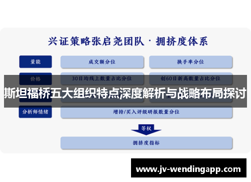 斯坦福桥五大组织特点深度解析与战略布局探讨