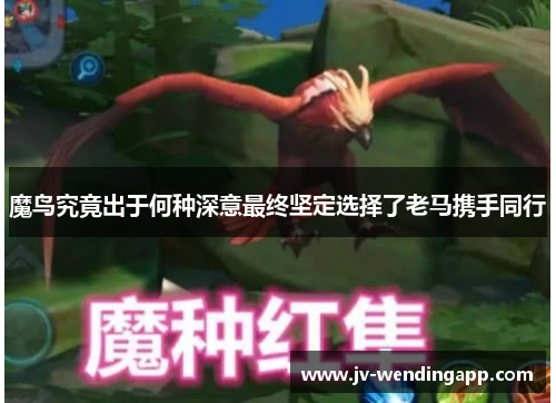 魔鸟究竟出于何种深意最终坚定选择了老马携手同行 魔鸟究竟出于何种深意最终坚定选择了老马携手同行